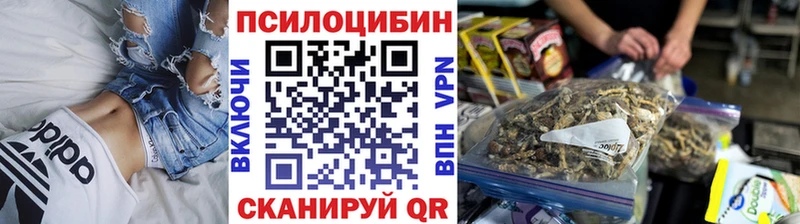 Псилоцибиновые грибы Psilocybe  где продают   Кашин 