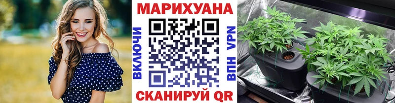 купить наркотики сайты гидра сайт Бошки Шишки AK-47 Кашин